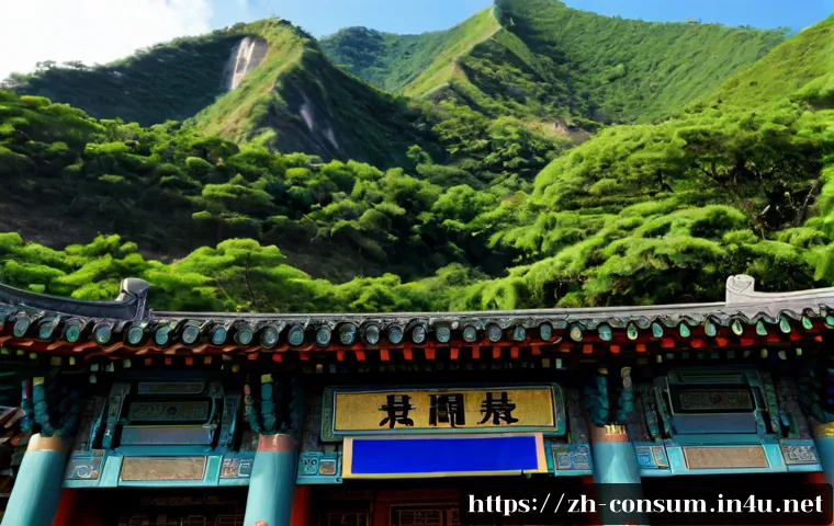 企业何时需要消费者专业技术师:职责范围、服务价值与委托评估要点 4 소비자전문기술사의 주요 역할과 책임 관련 이미지 2
